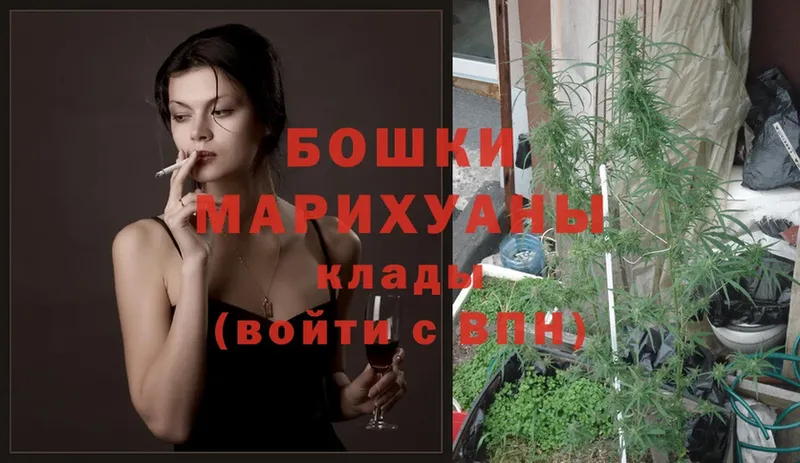 как найти наркотики  Клин  МАРИХУАНА сатива 